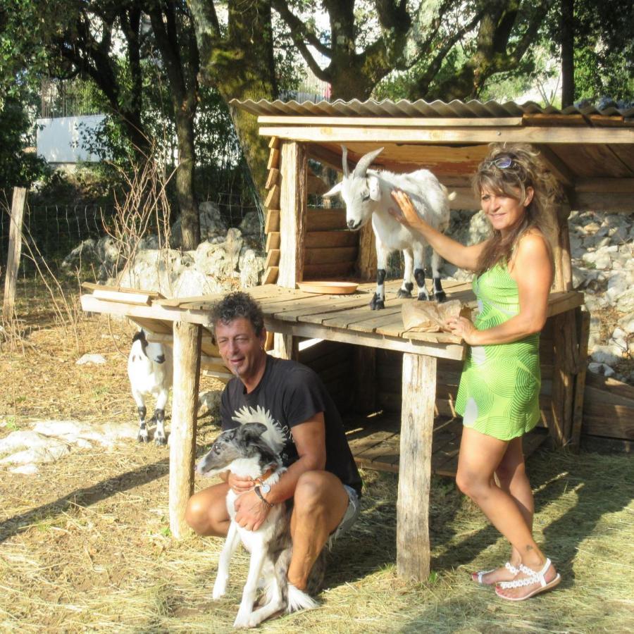 L'Apogee Bed and Breakfast Labeaume Εξωτερικό φωτογραφία